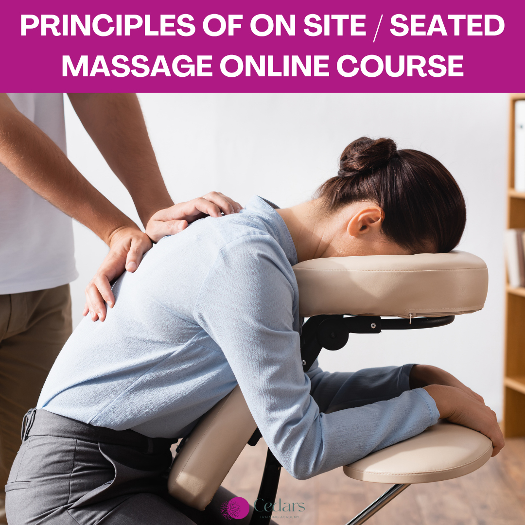 Principles of On Site / Seated Massage Online Course