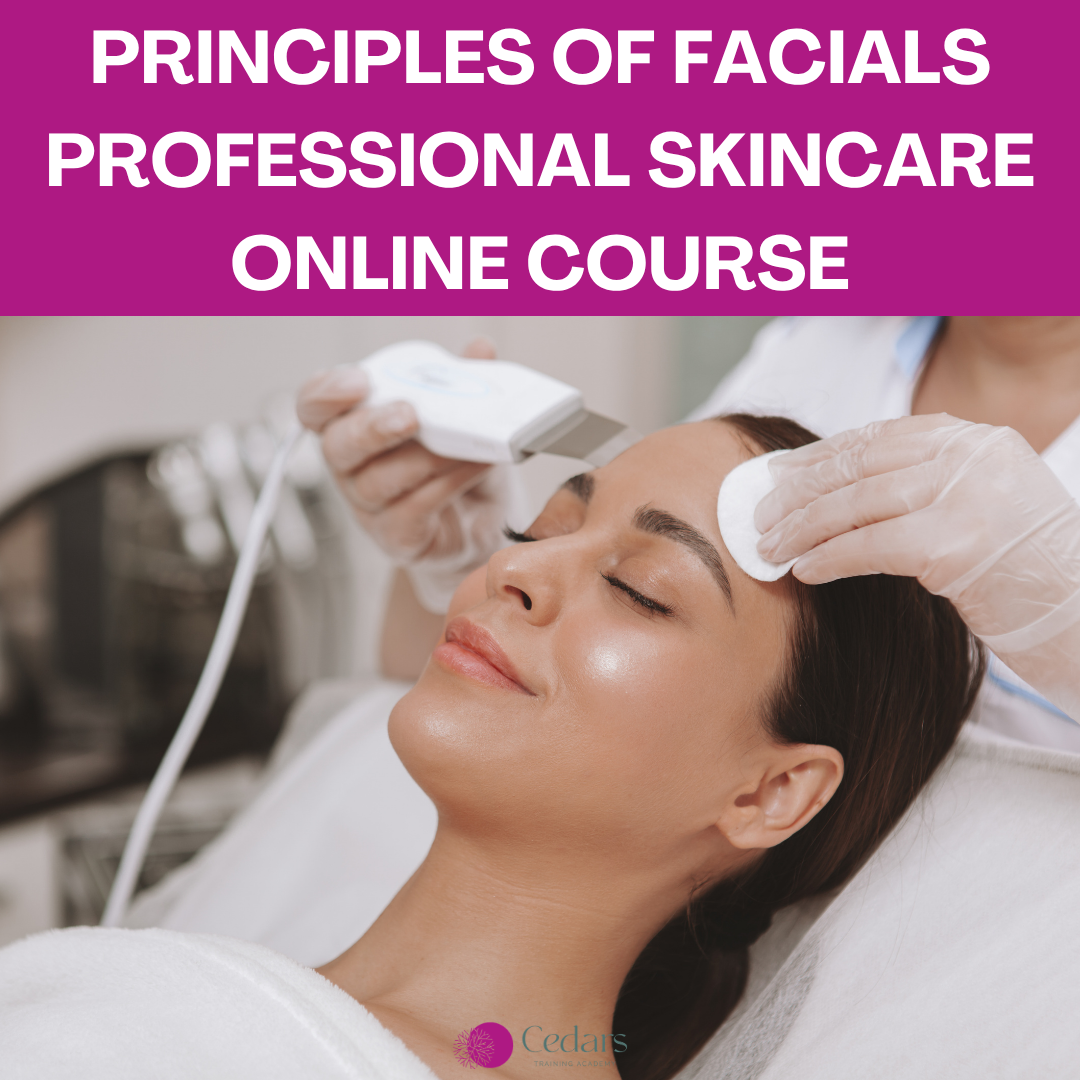 Principles of Facials Professional Skincare Online Course