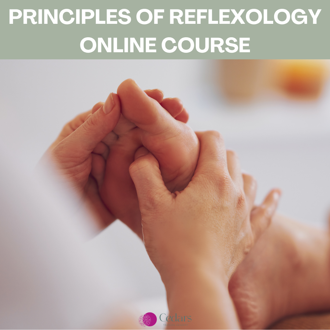 Principles of Reflexology Online Course