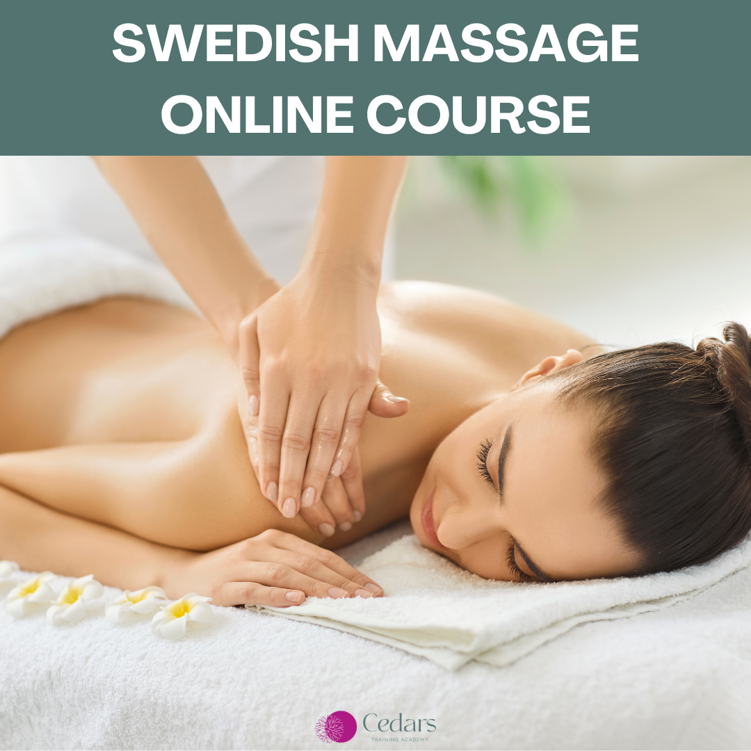 CTA courses web banner image layout.png