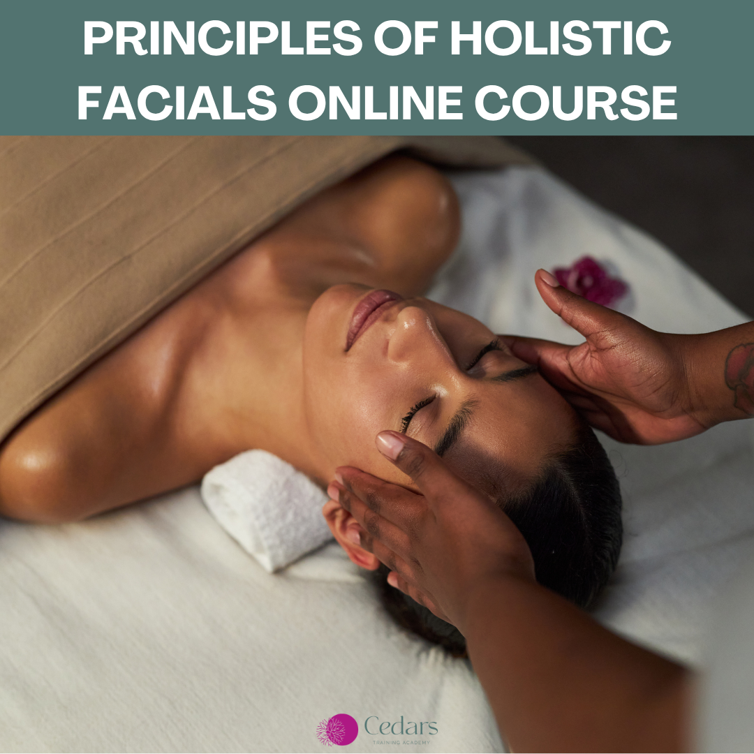 Principles of Holistic Facials Online Course