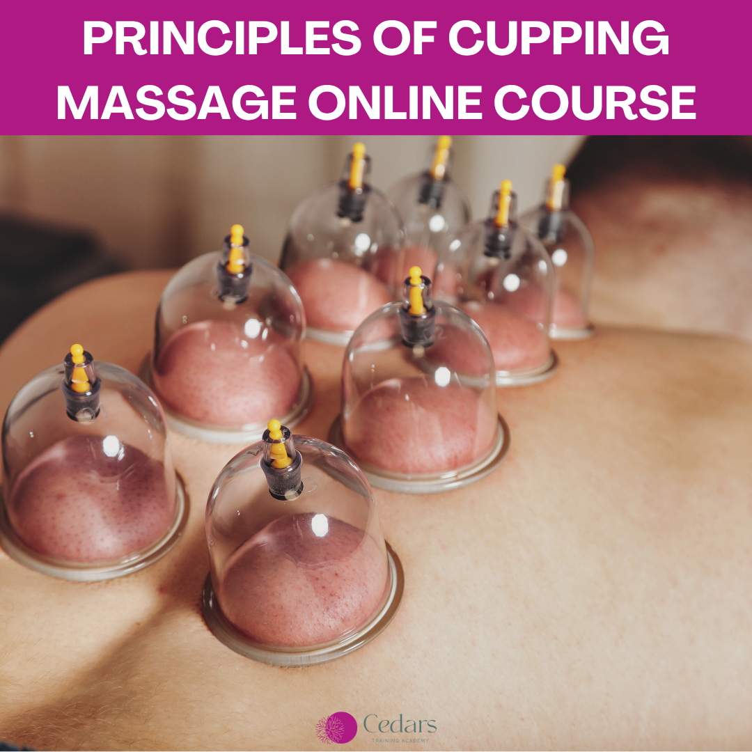 Principles of Cupping Massage Online Course