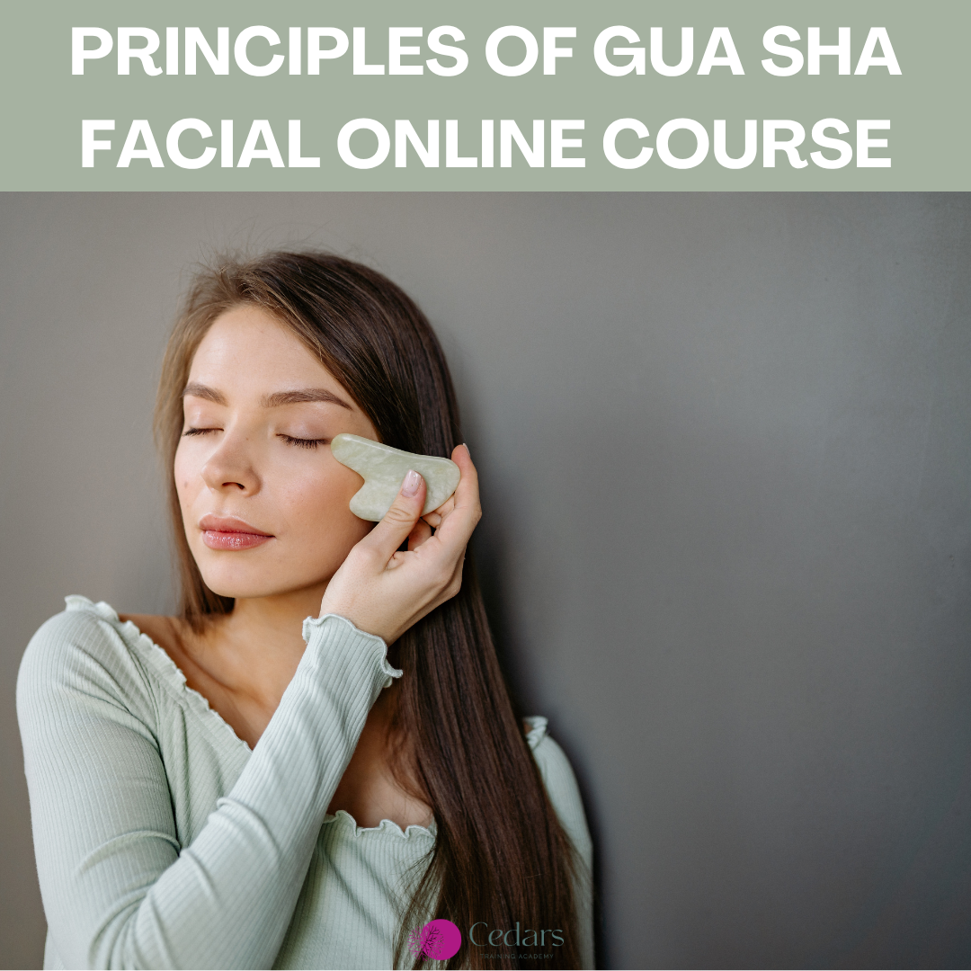 Principles of Gua Sha Facial Online Course