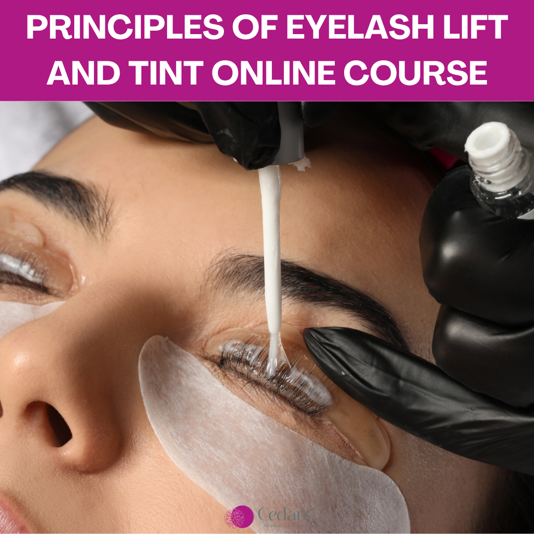 Principles of Eyelash Lift and Tint Online Course