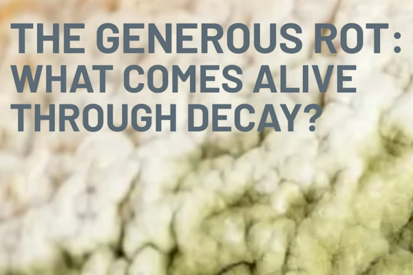 The Generous Rot. Unruly Ecologies: An Entangled Reading Group