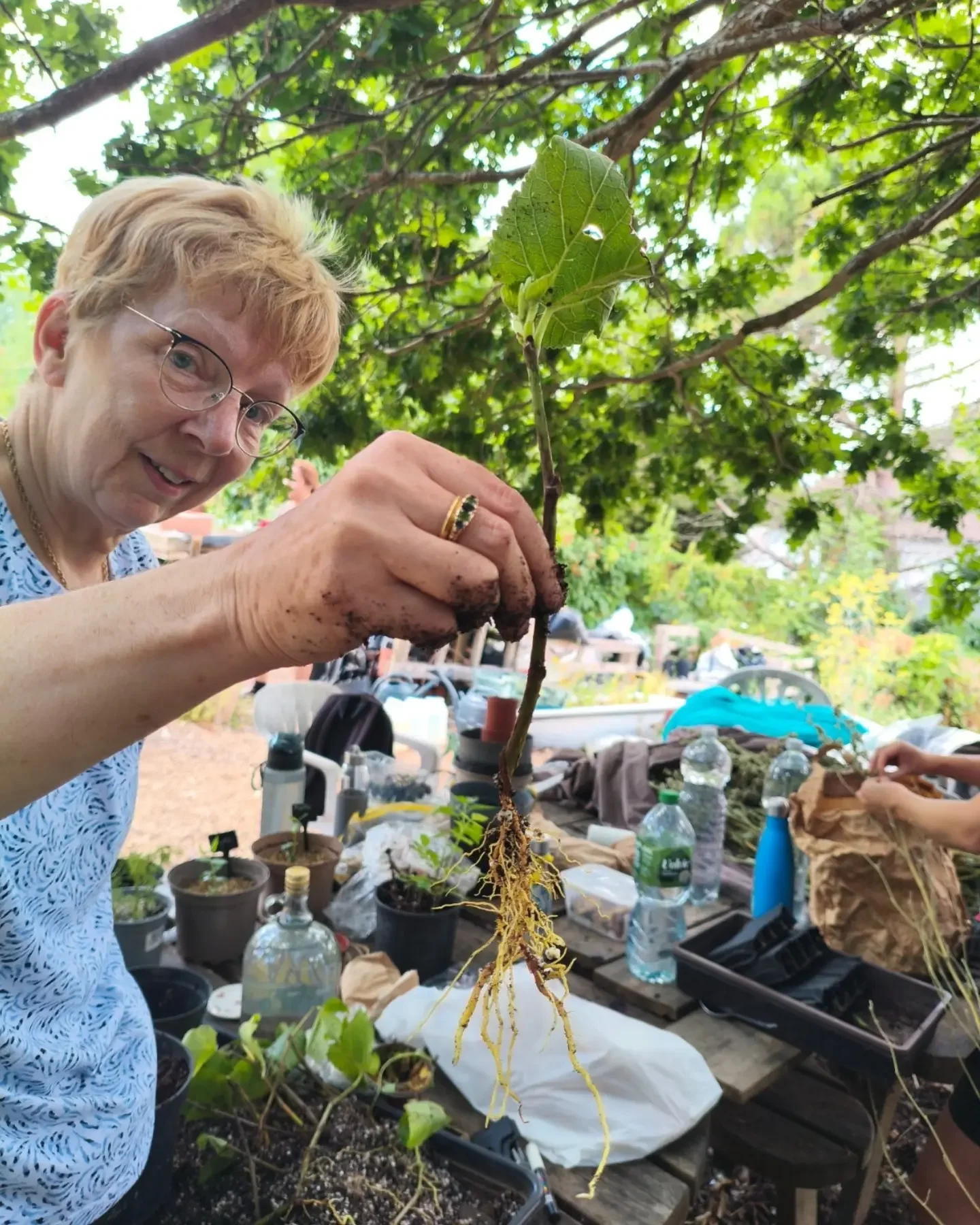 Community Apothecary’s Mulberry Close Open Day