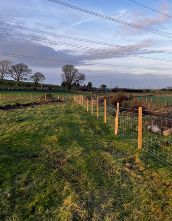 River Restoration Round Up