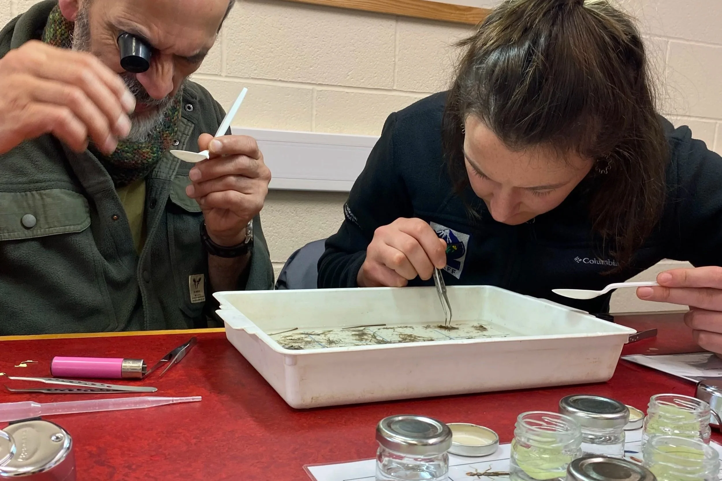 Lab Dwr: Freshwater conservation society Invertebrate ID Session