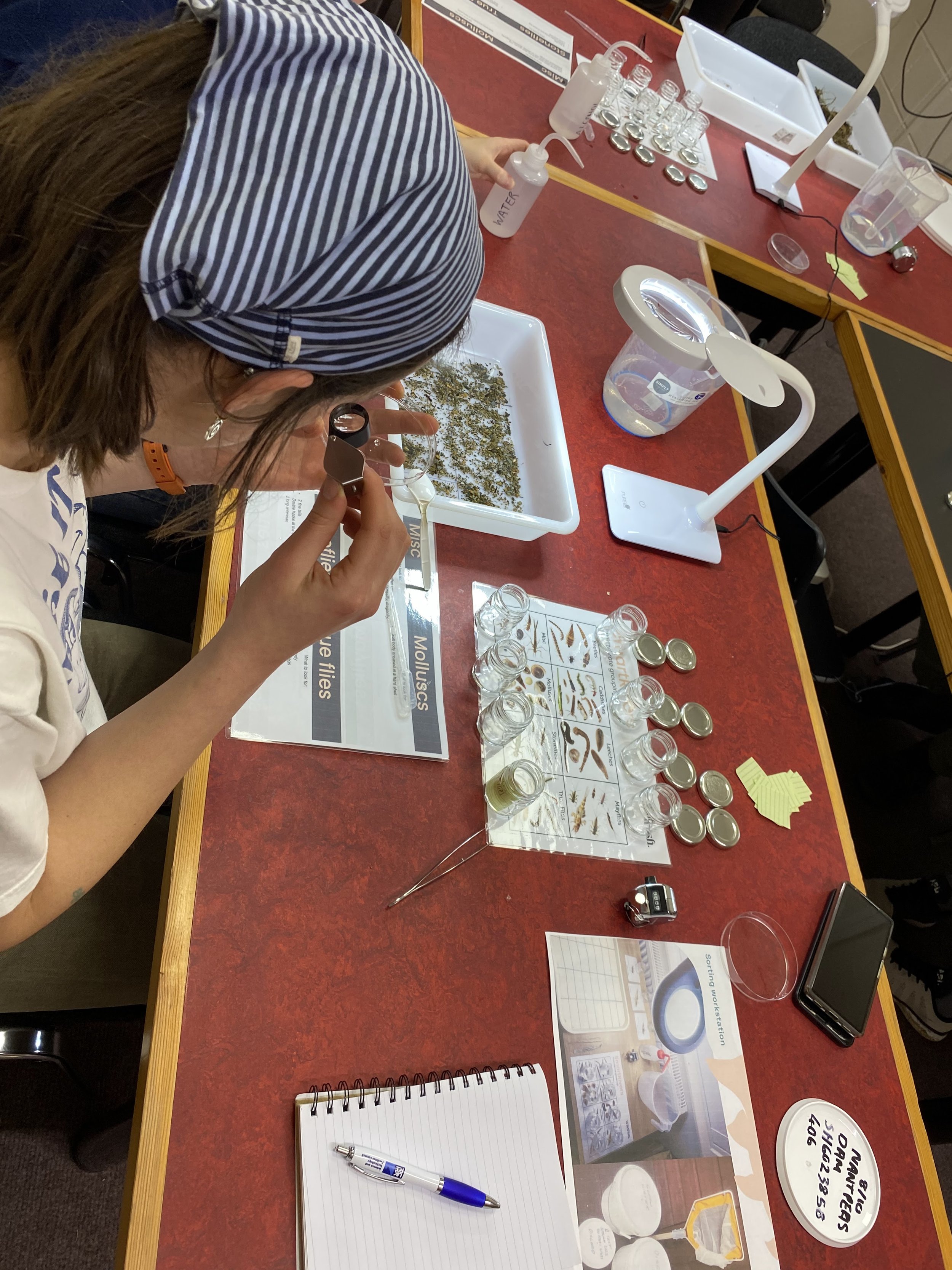 Lab Dwr: Rhosneigr River Hub Invertebrate ID Session