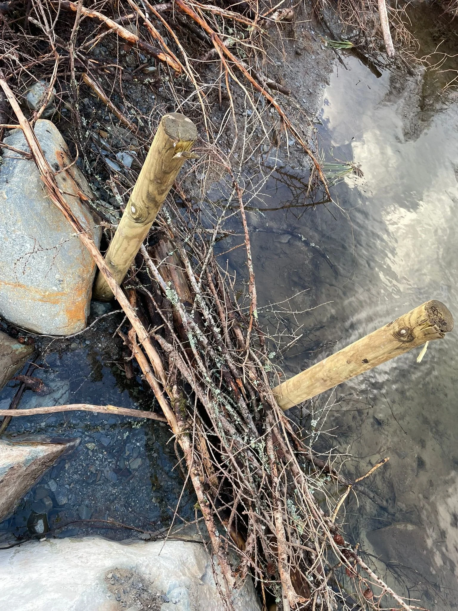 Sticks in the stream | Ffyn yn y Ffrwyd