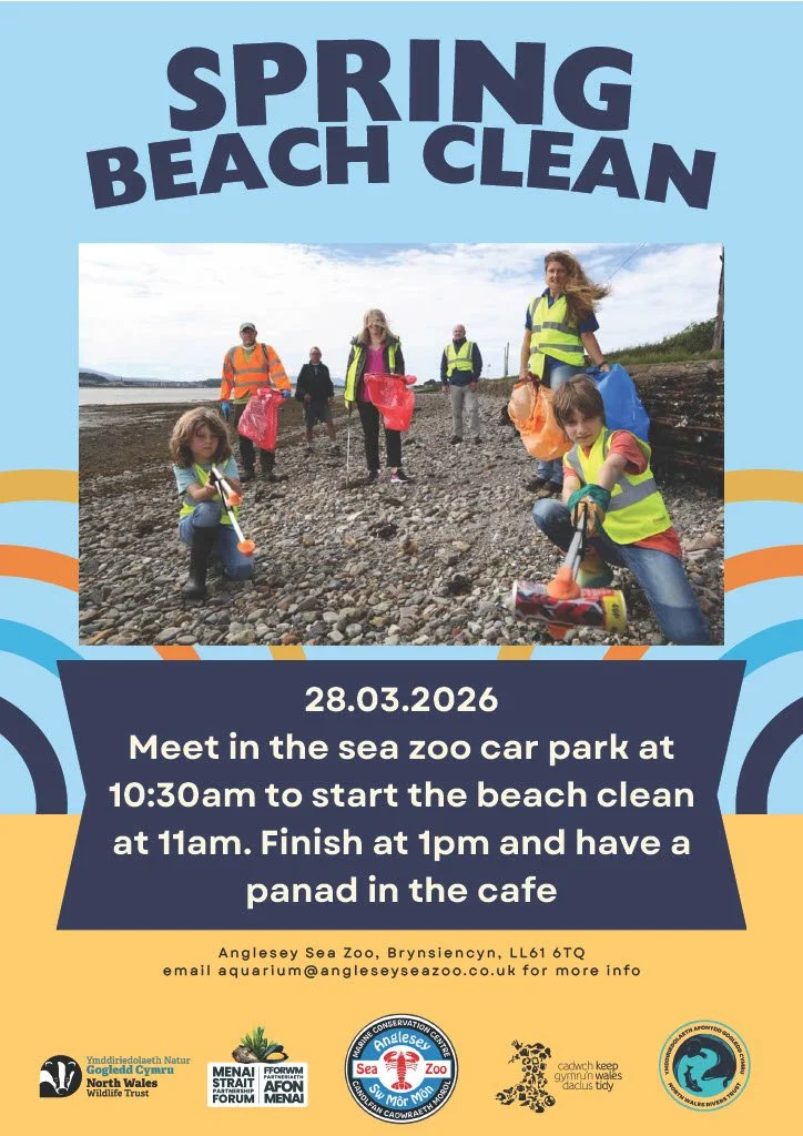 Spring Beach Clean with Menai Strait Partnership Forum 