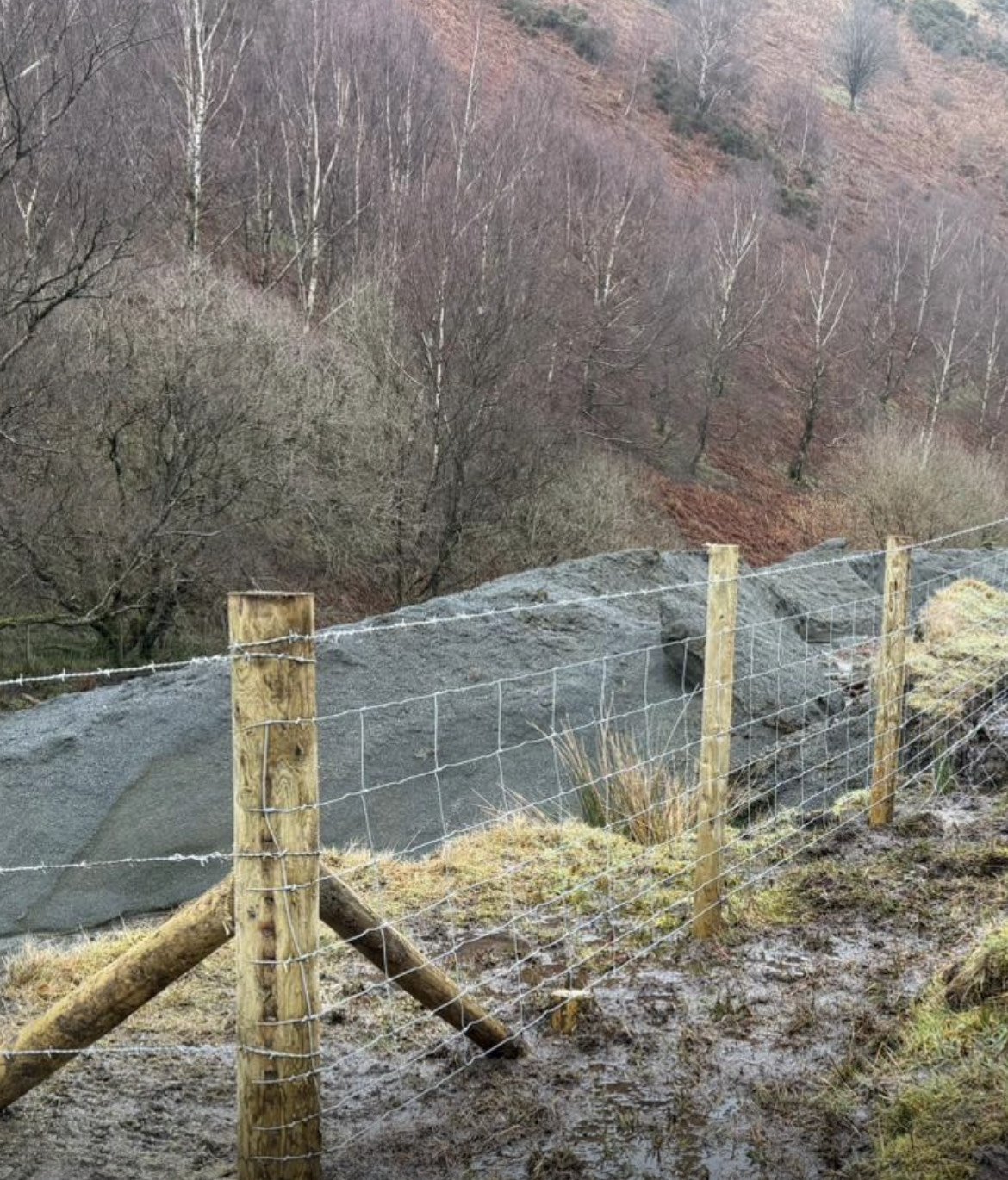 Restoring the Afon Crewi 