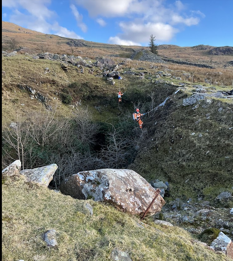 Abseiling Into Gullies to Tackle Invasive Species 