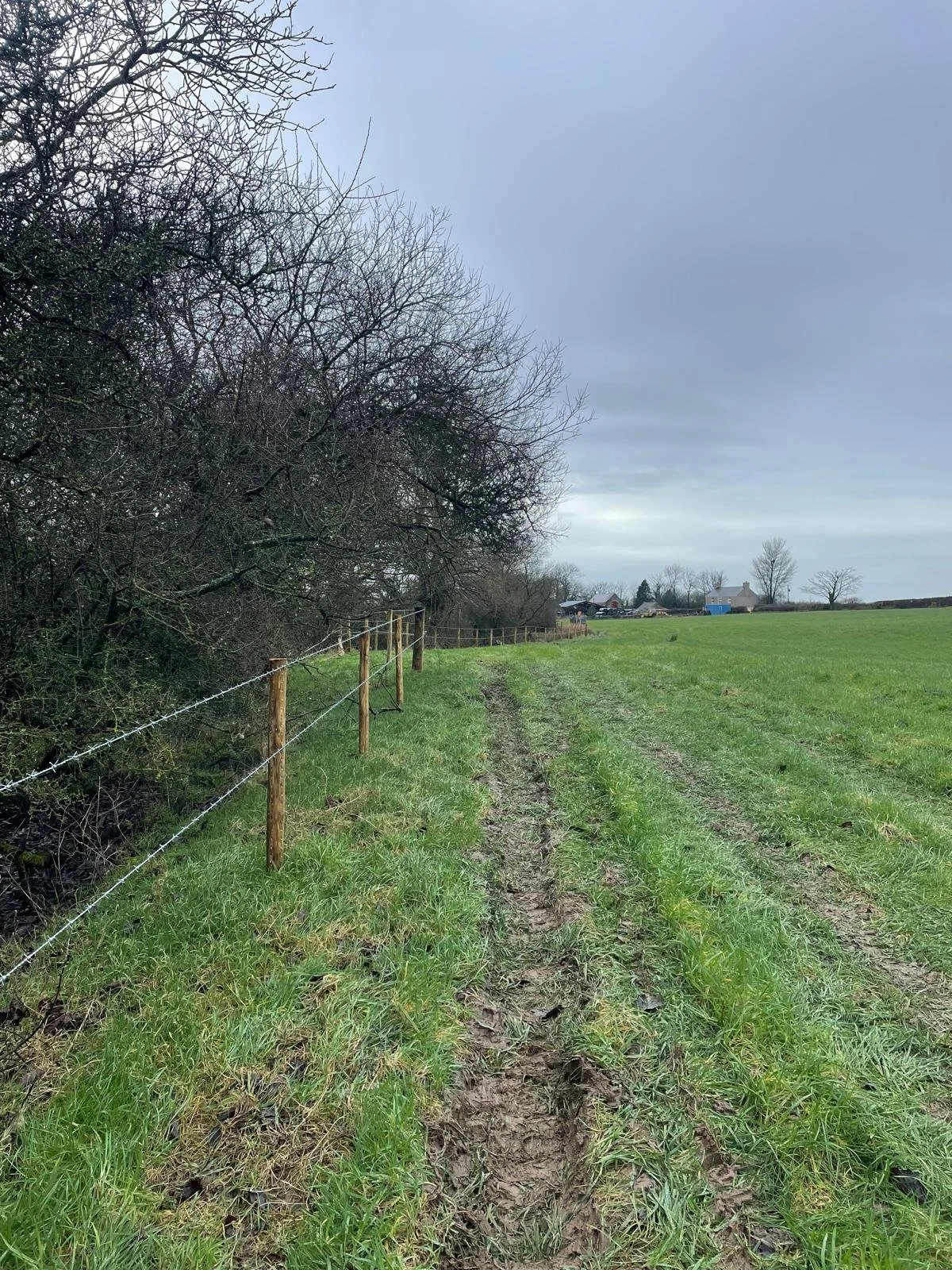 IMG-20260304-WA0022 (1).jpg