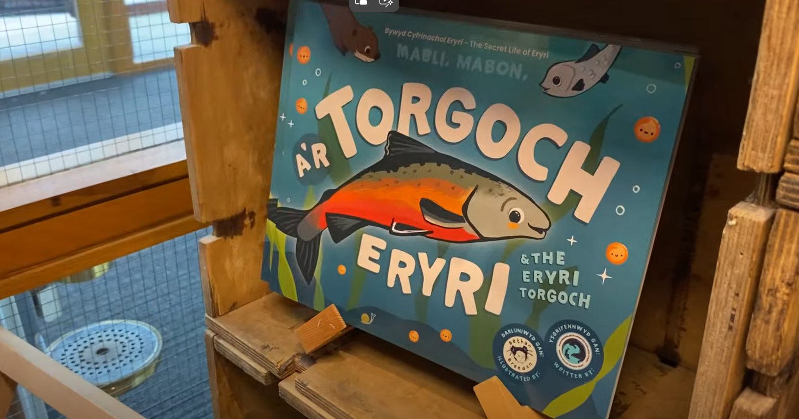 Local Pupils Celebrate the Launch of Tesni the Torgoch