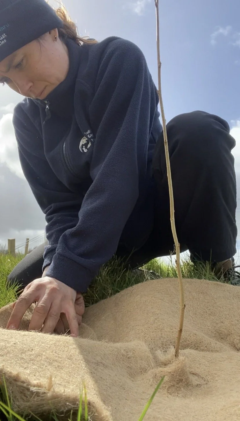 Bringing Species Back To Our Rivers