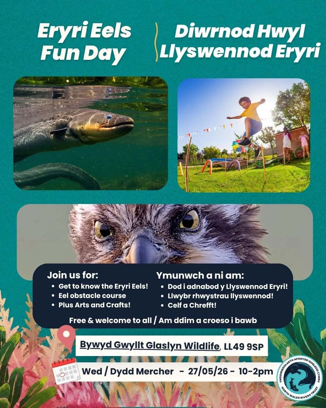 Eryri Eels Fun Day