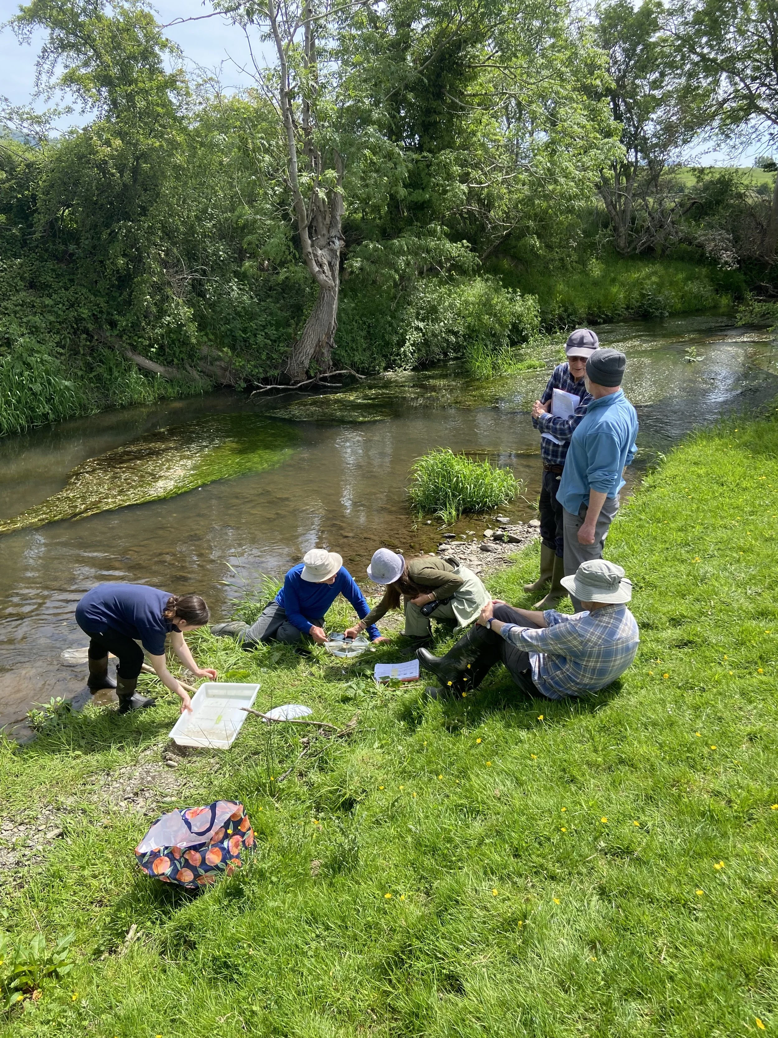 Clwyd Lab Dwr Invertebrate Sampling