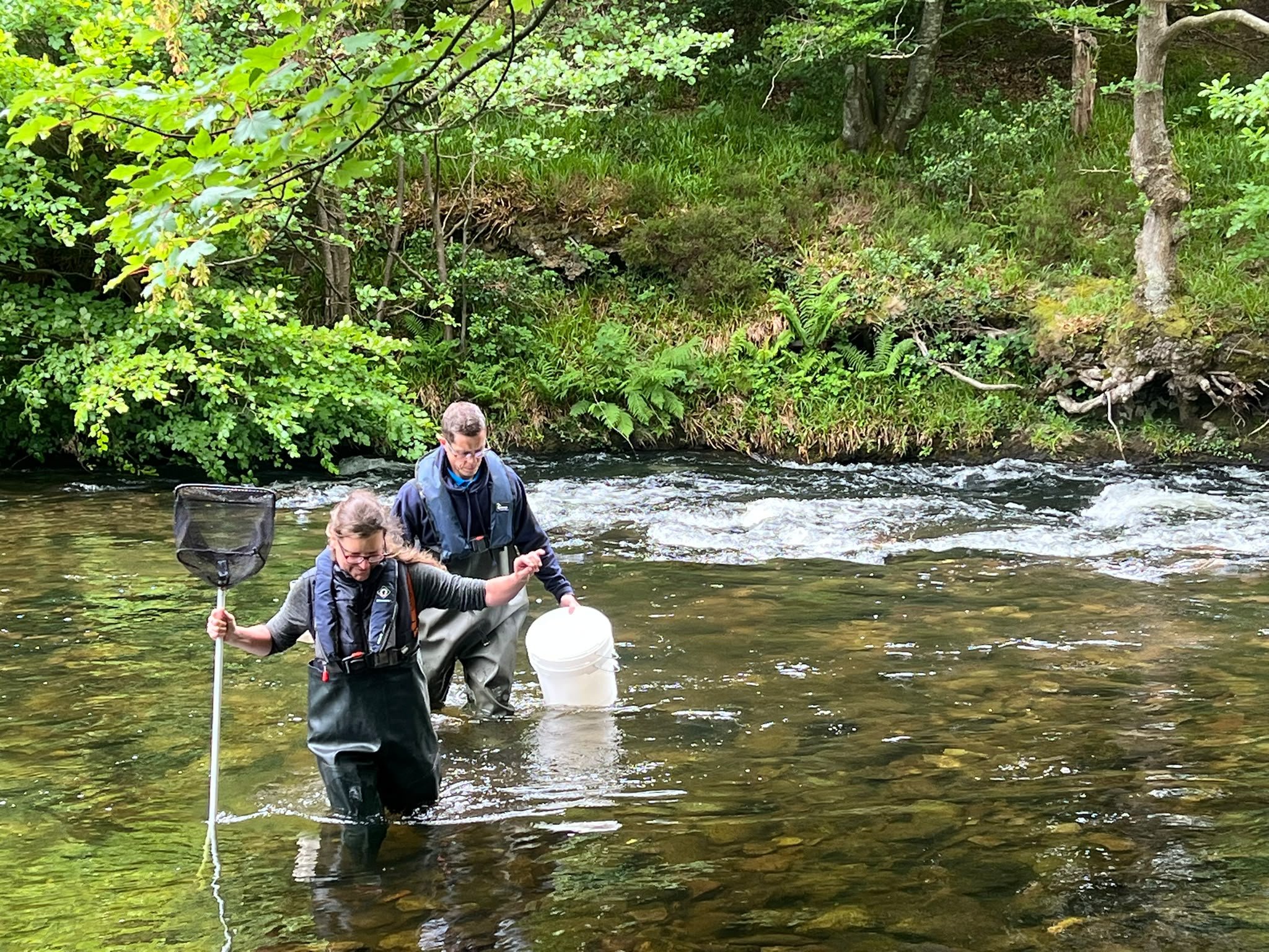 Team Achieves Electrofishing Certification on the ogwen