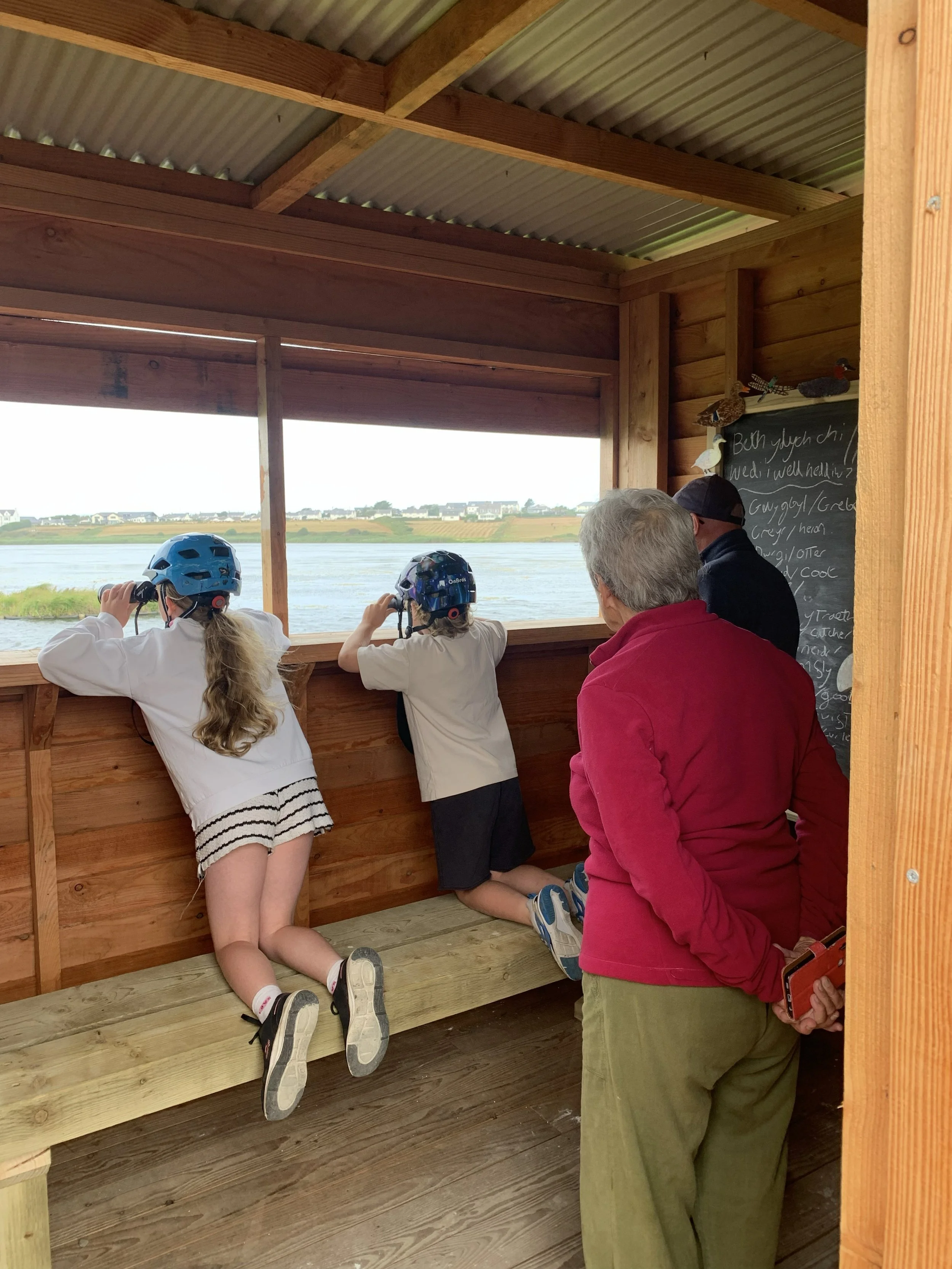 Opening Llyn Maelog Wildlife Hide