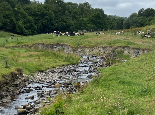 River Restoration Round Up