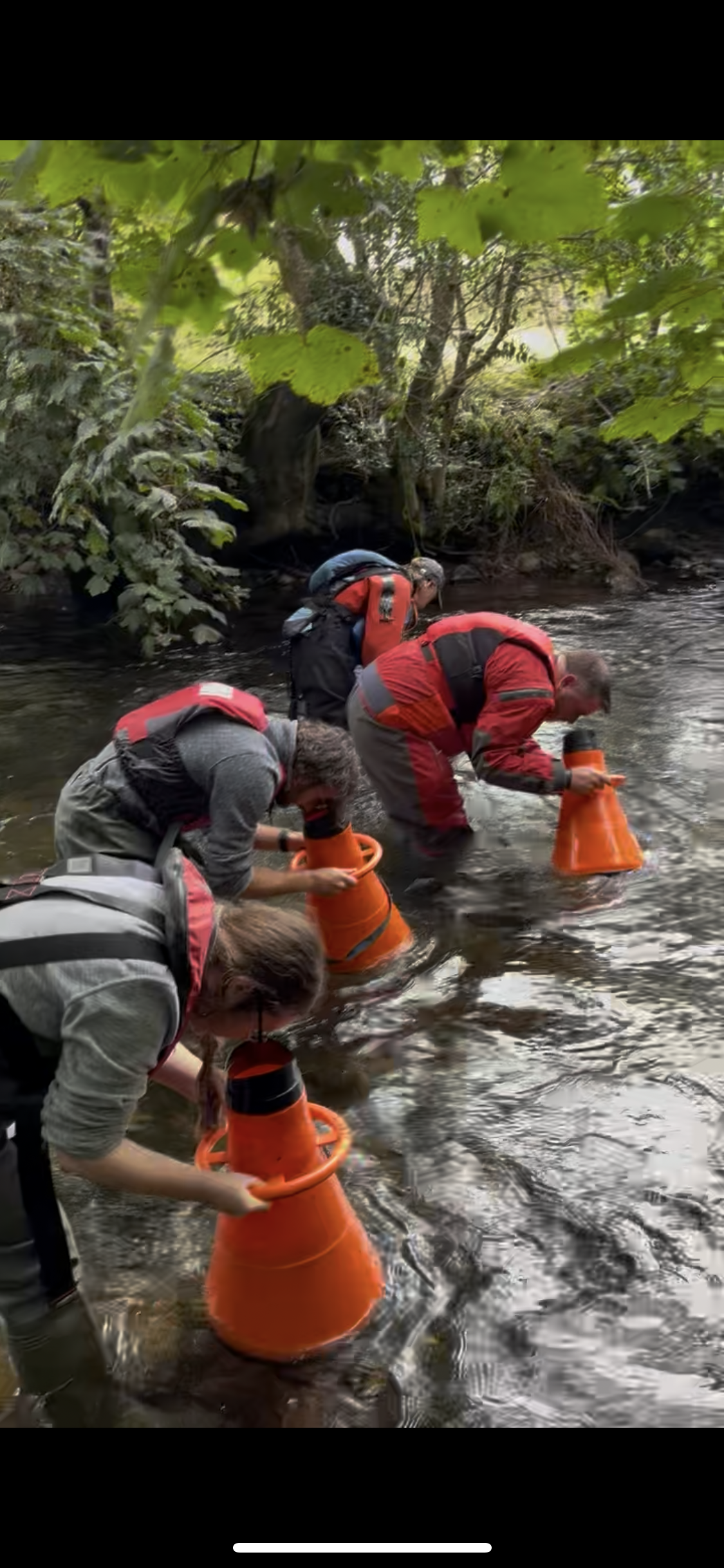 Staff Upskilled with Freshwater Pearl Mussel Training 