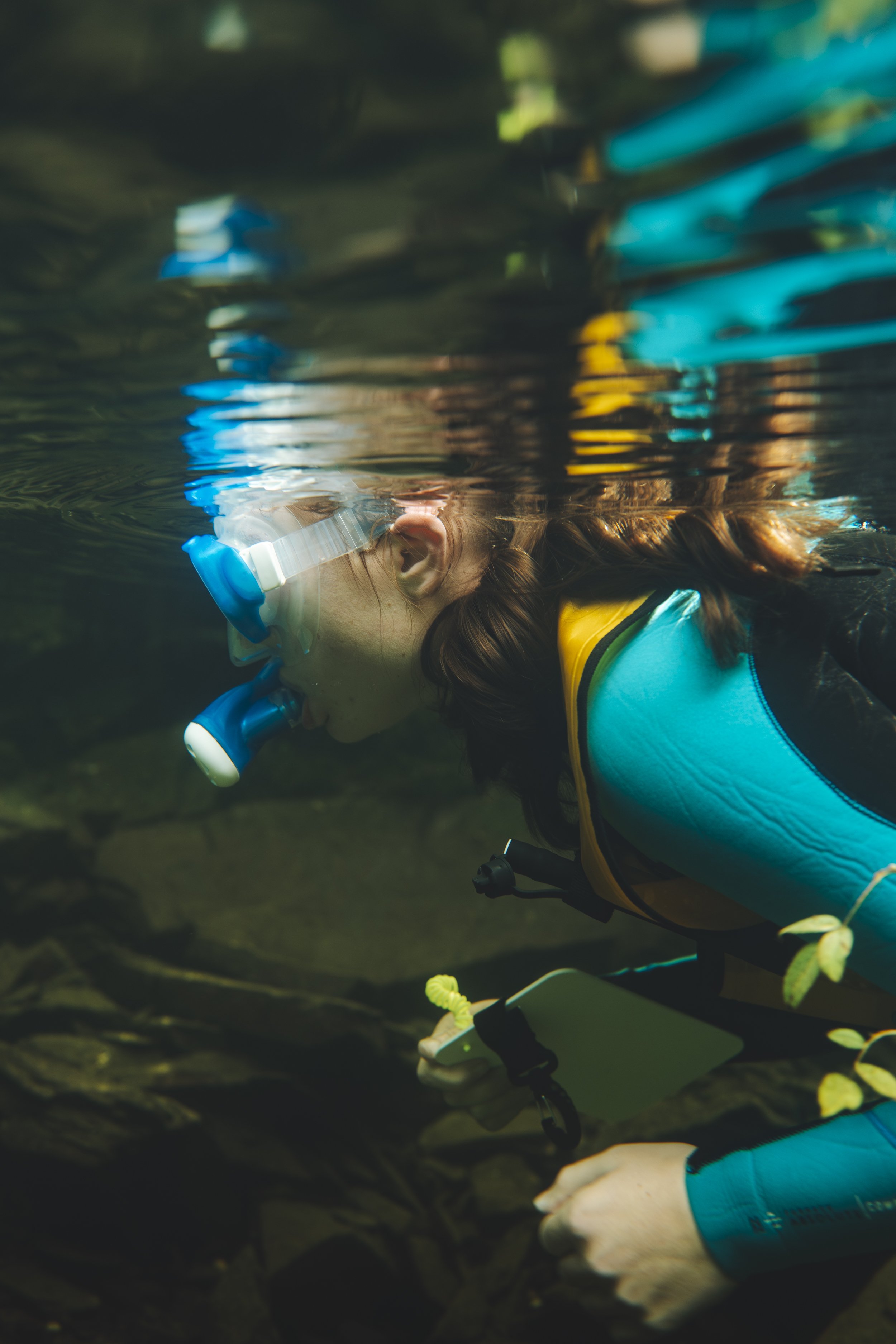 NWRT-Snorkeling-Padarn-31.jpg