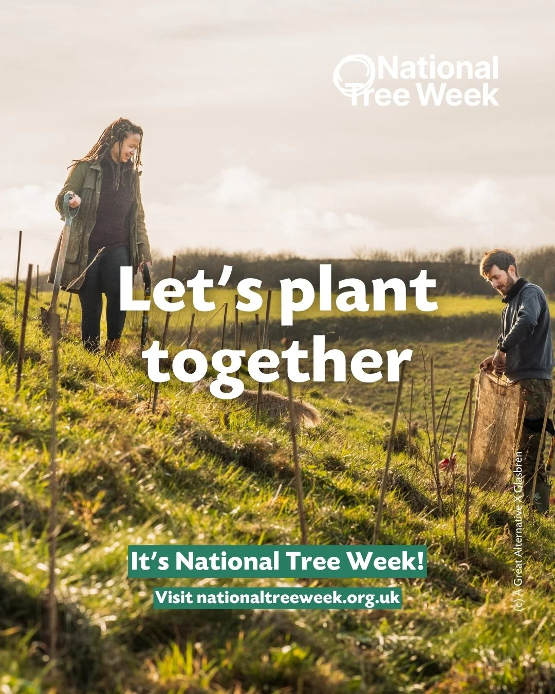 Help Plant Trees For National Tree Week