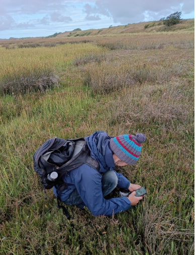 Saltmarsh Volunteer Training Day &amp; Habitat Surveys