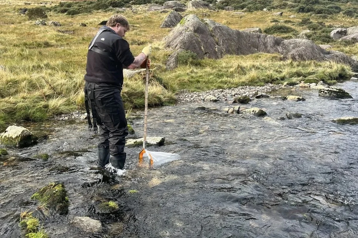 Freshwater Pearl Mussel Project Spring Surveying