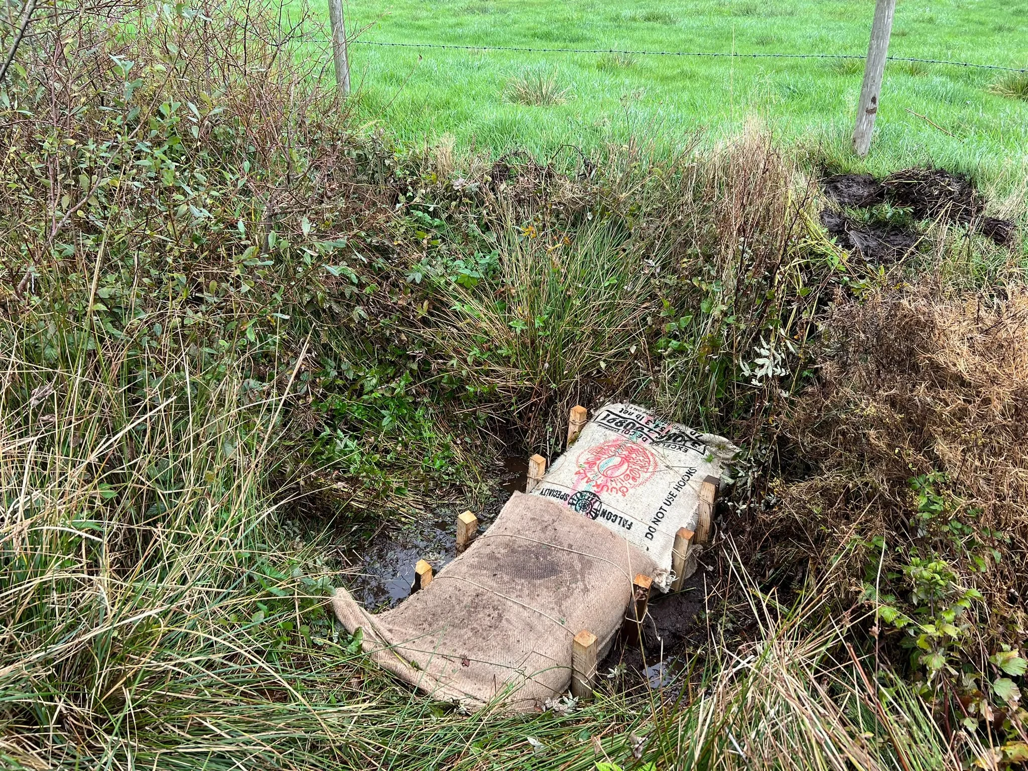 TRIALLING BIOCHAR DAMS ON THE AFON CEGIN