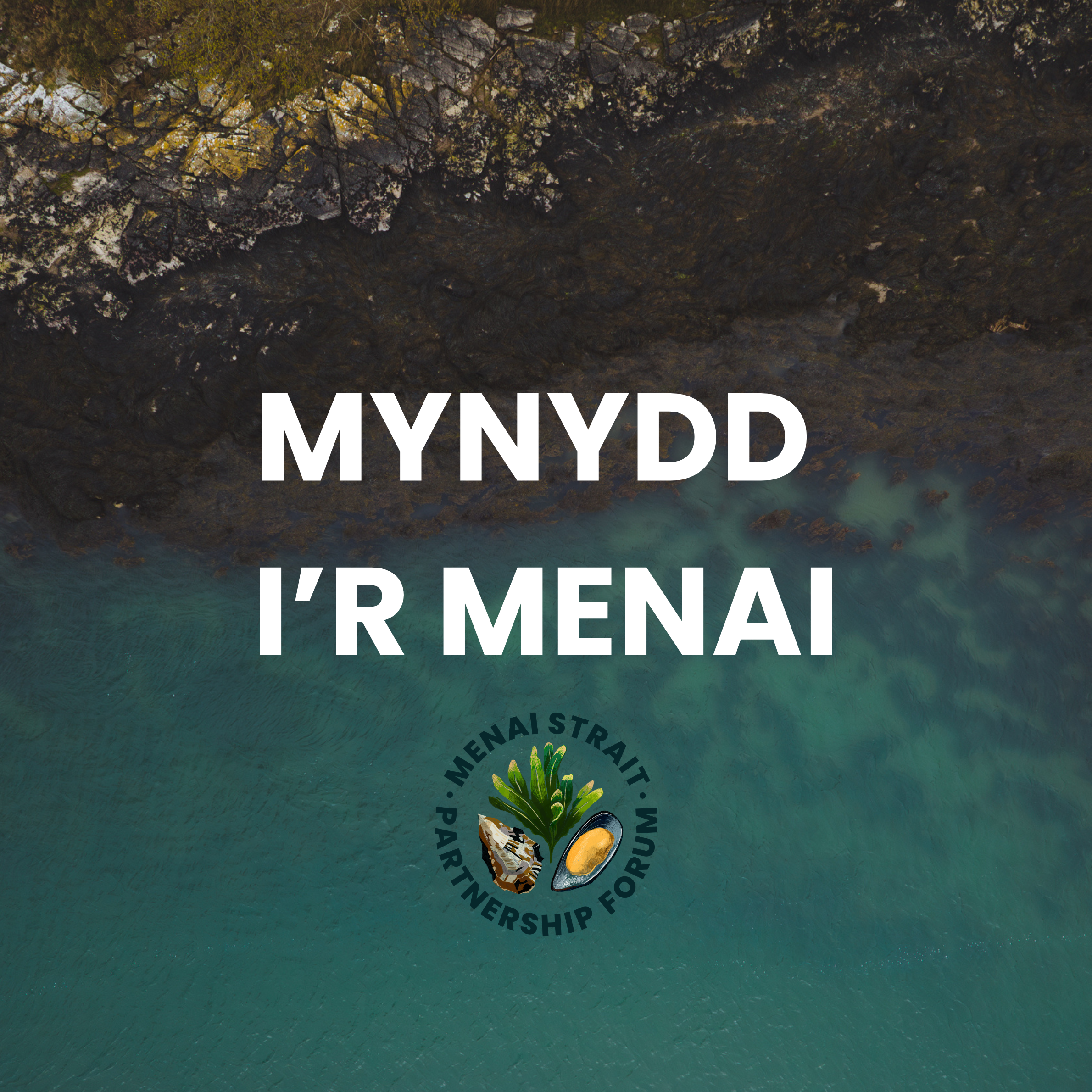 MYNYDD I’R MENAI.png
