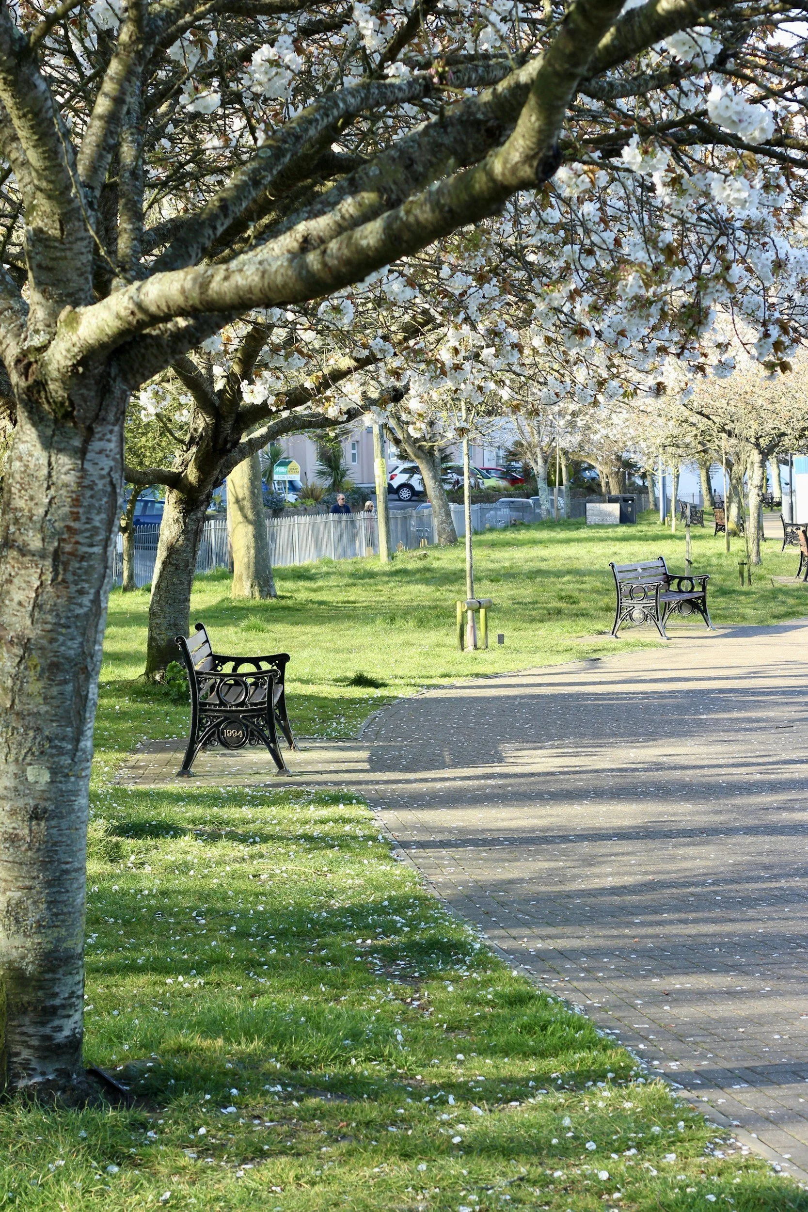 Image of park