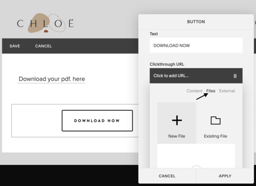 how to add a pdf download to squarespace