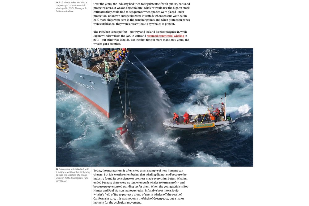 presse-guardian-whaling-1920-05.jpg
