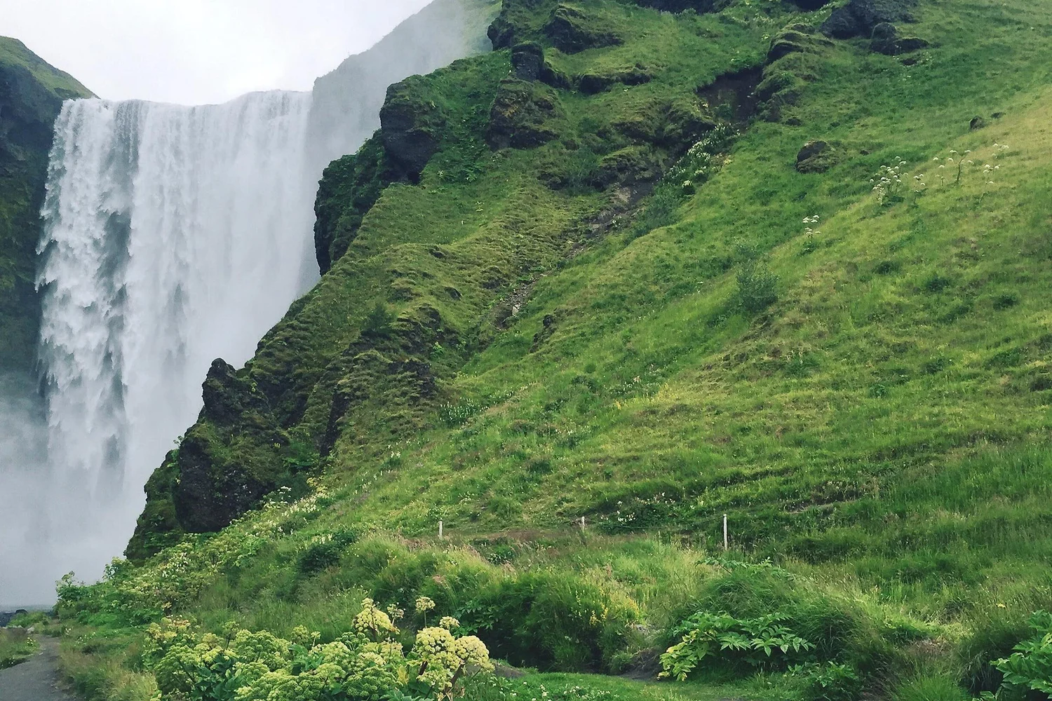 Whaletrips Island Die besten Tipps für Whale Watching in Island