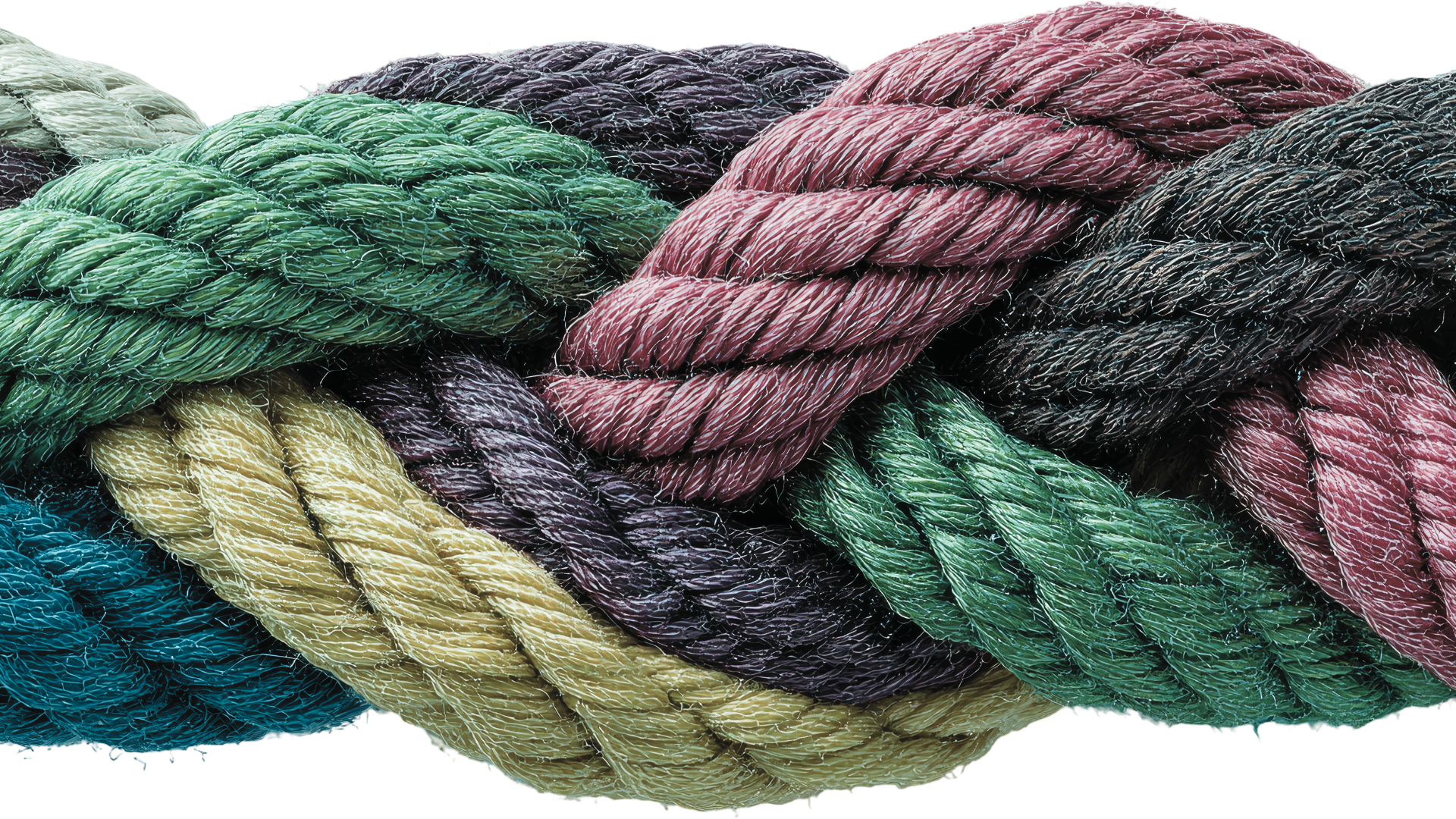 Untitled design (2).png