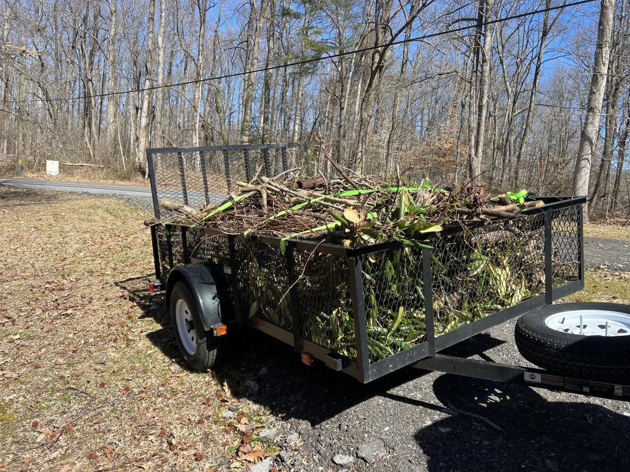 Landscaping I Junk Removal I Prince Frederick, Maryland