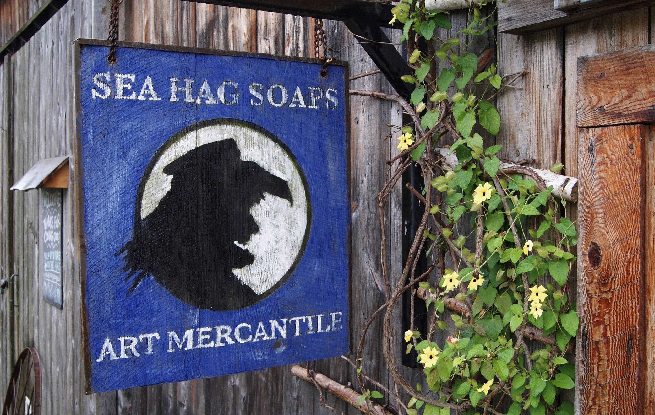Blue Sign Sam2.jpg