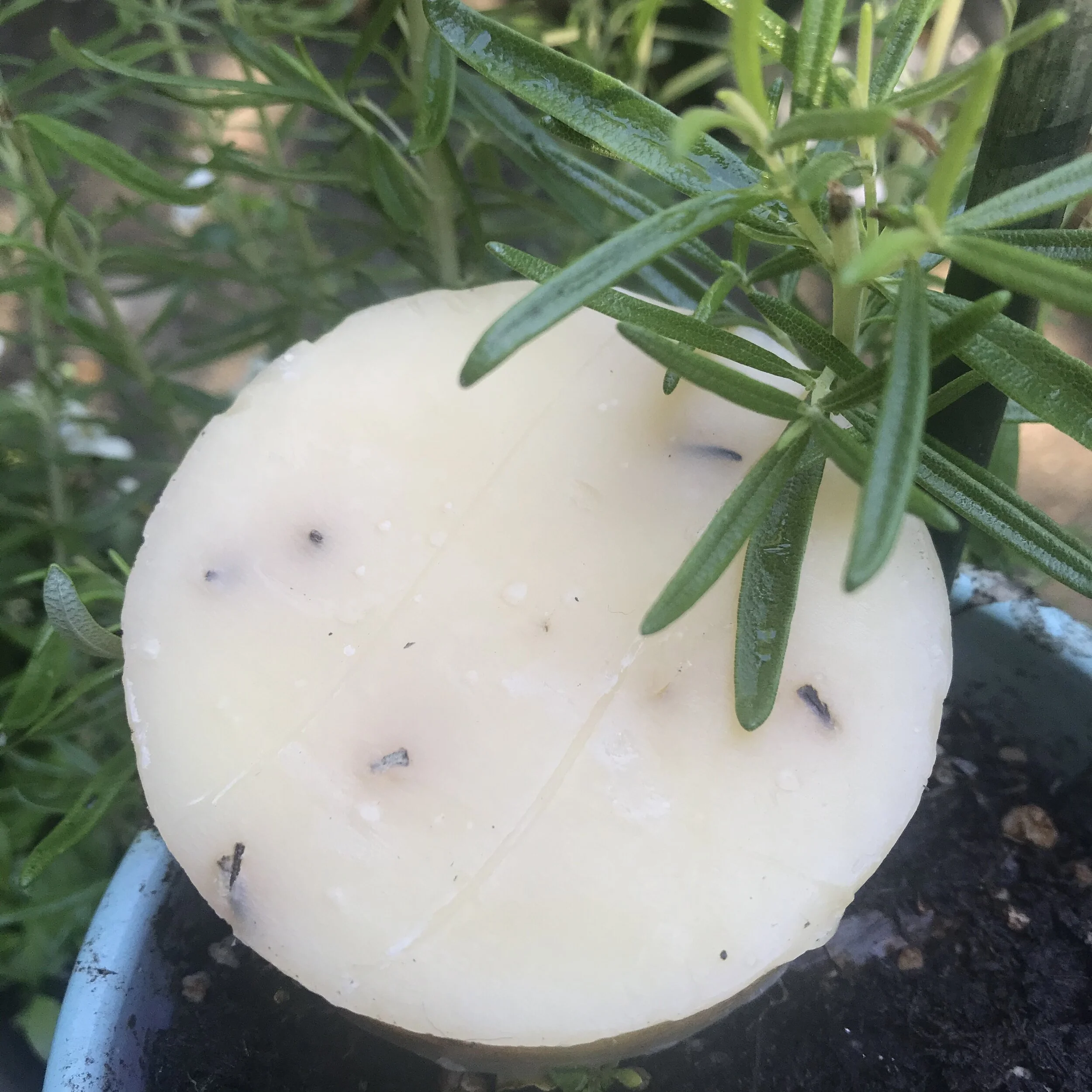 01CE0806-4F4C-4DC8-9D7F-AAA7969DD0B5