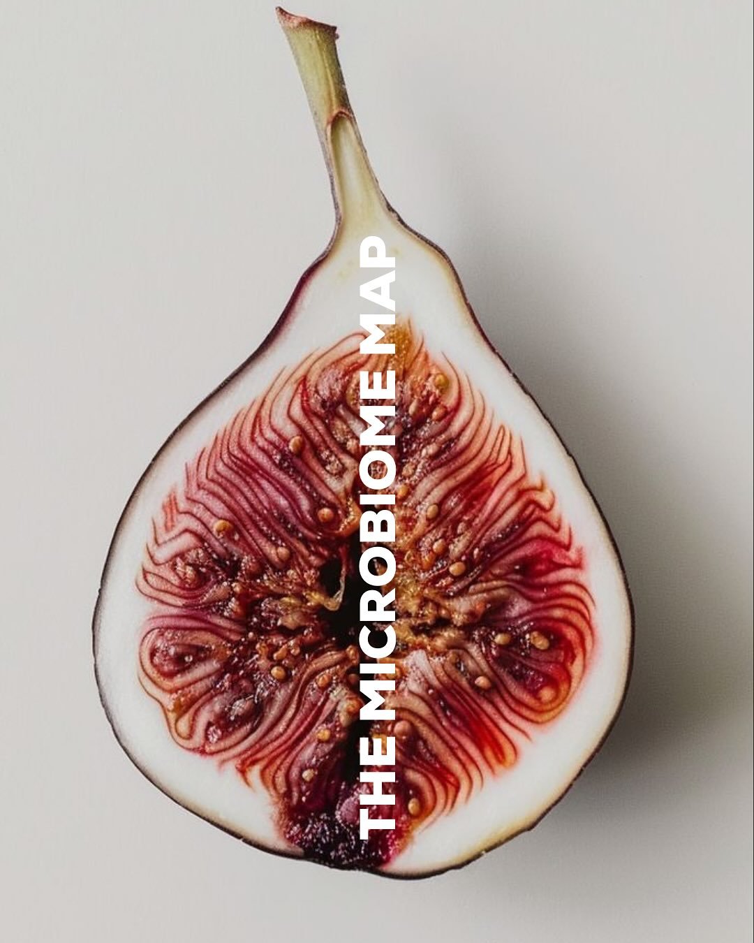 This is hands down one of my favourite tools to work with in clinic because when we understand what&rsquo;s going on in the gut, we get clarity across the whole system 🌀

You might consider a microbiome map if you&rsquo;re dealing with:
 &ndash; Chr