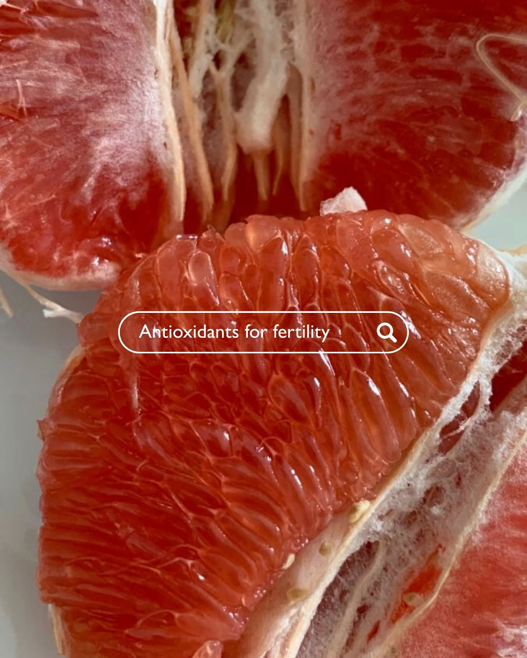 Fertility and preconception care are deeply multifaceted and one area that&rsquo;s often overlooked is the role of antioxidants.
 These compounds protect your eggs, sperm, and hormones from oxidative stress; one of the most common yet under-recognise