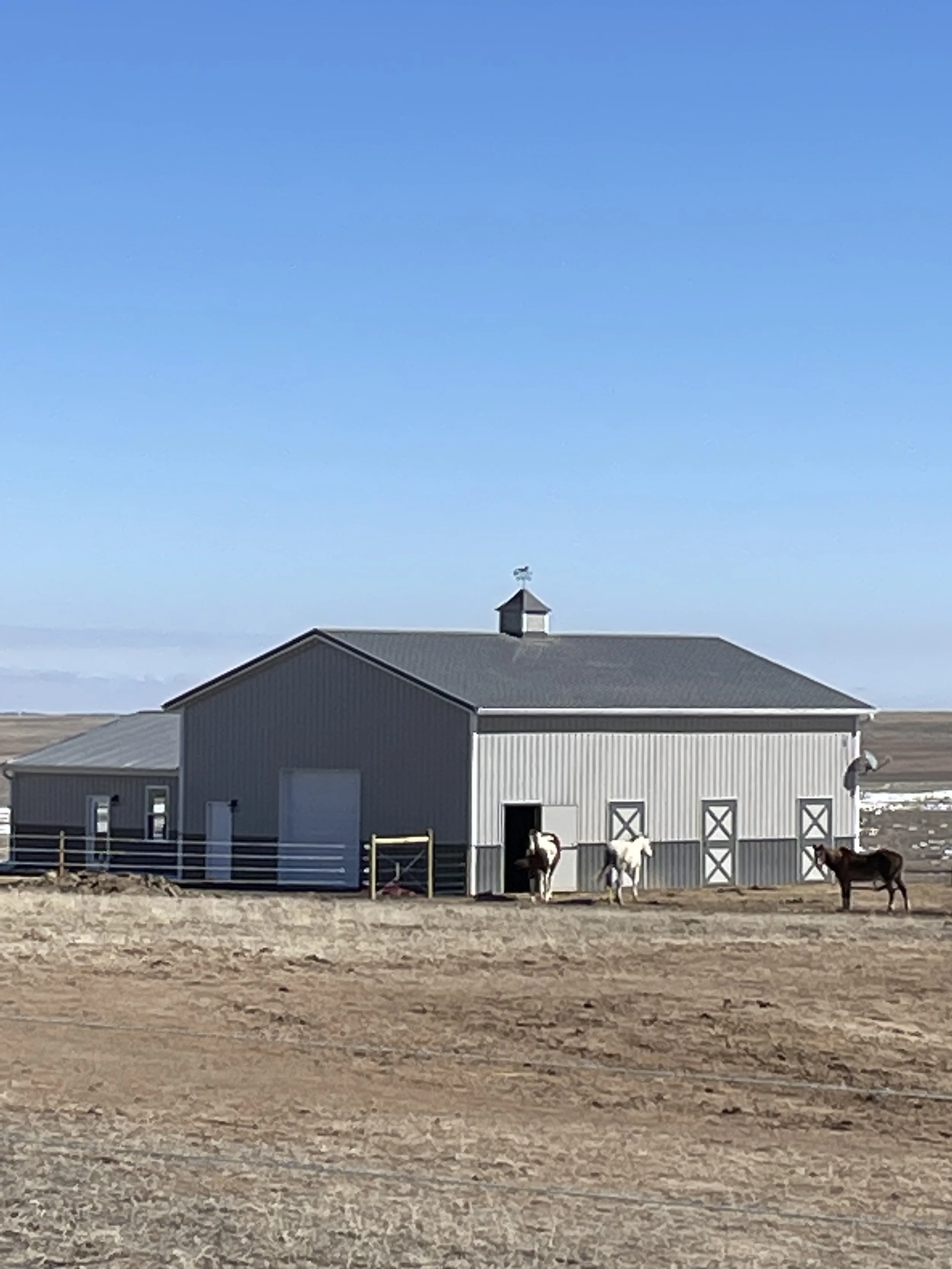 O'Harold Barndo 1.jpg