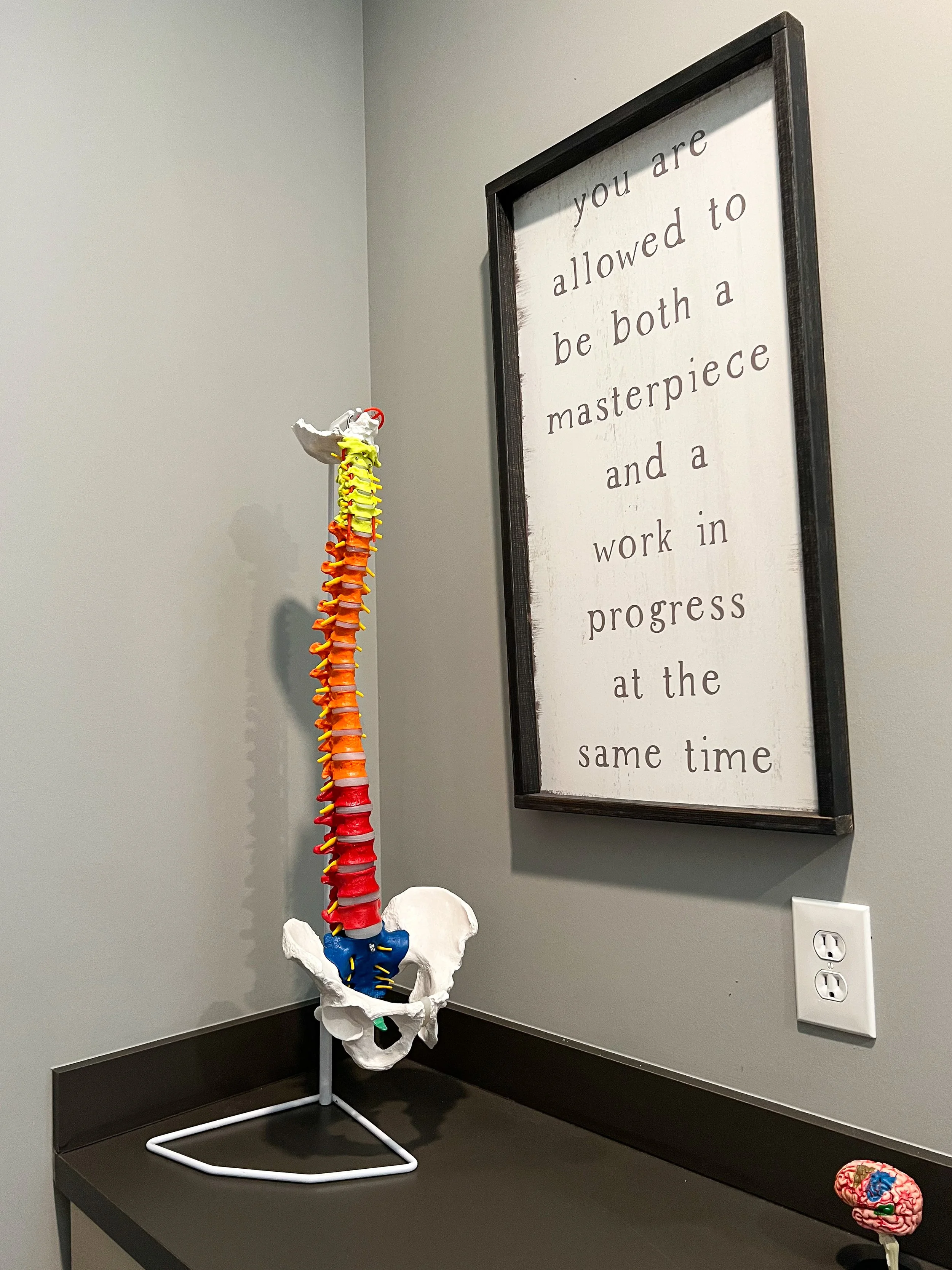 spine model