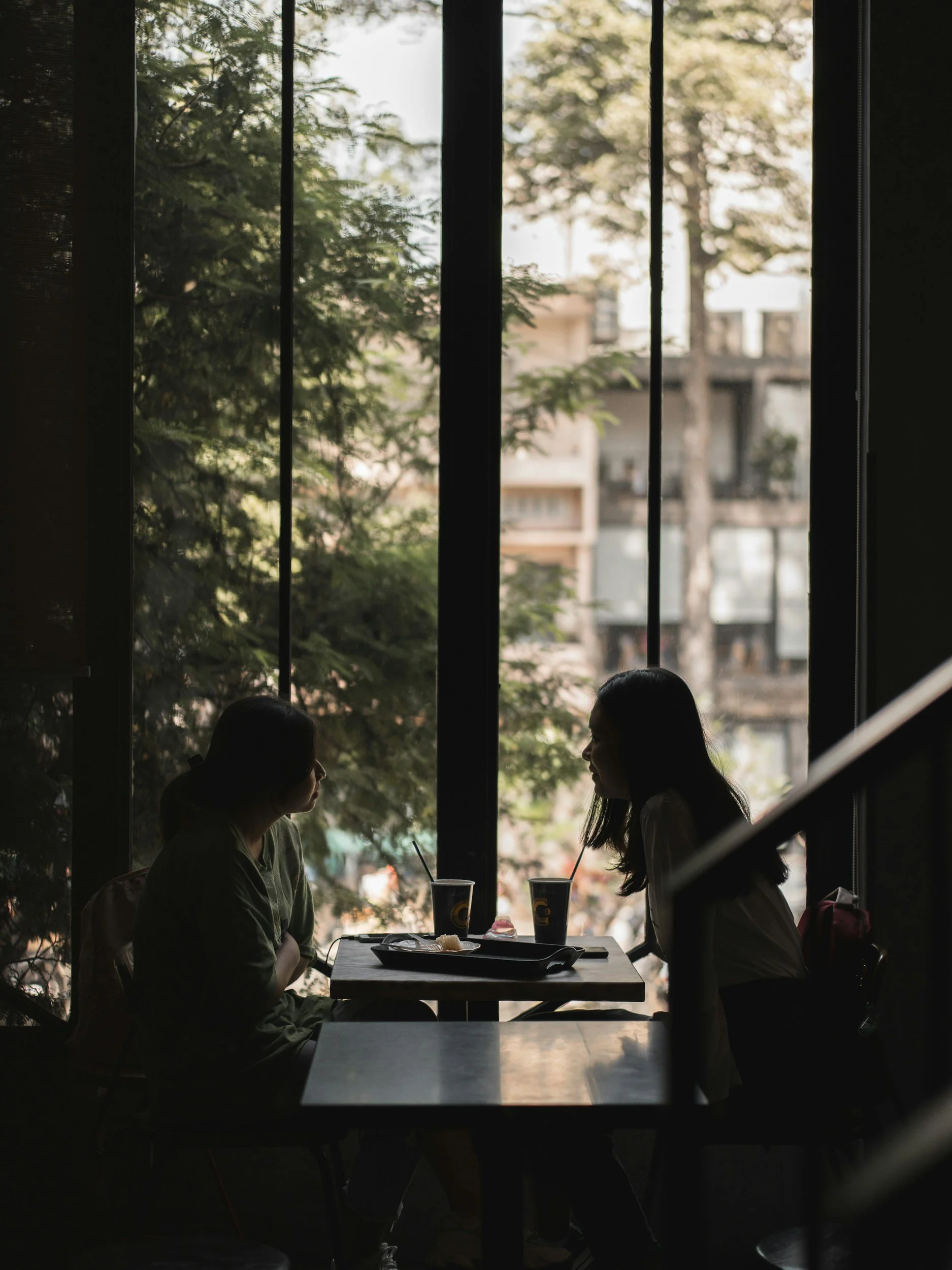 Two women are sitting at a table in a cafe, seen in silhouette against large windows with trees and buildings outside. They are facing each other with drinks on the table.