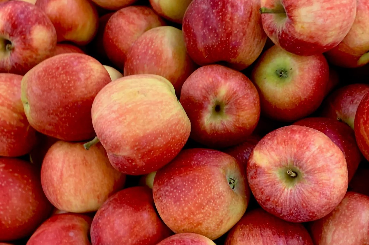 apples.jpg