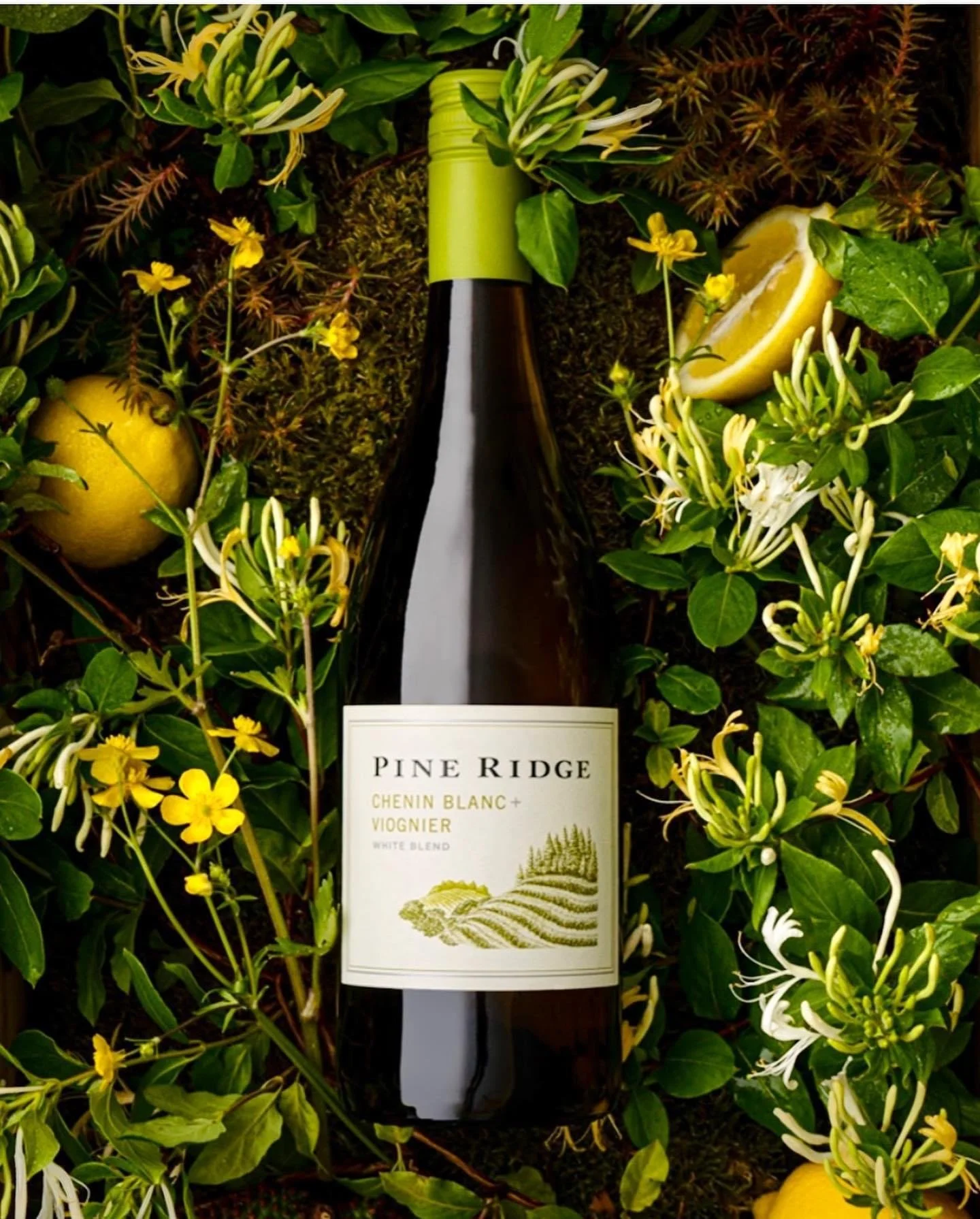 pine ridge chenin blanc IMG_8390.JPG