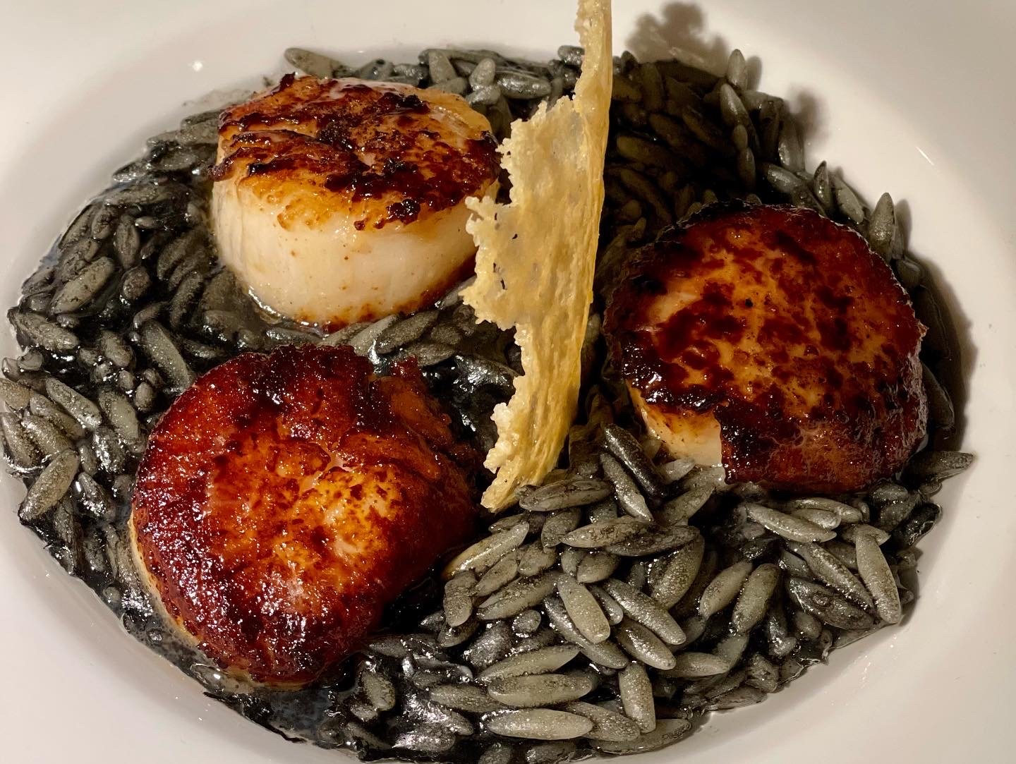 scallops Le succulent scallops 4AB95075-F54B-43DF-8A0C-799E2AAFFA4B.jpeg