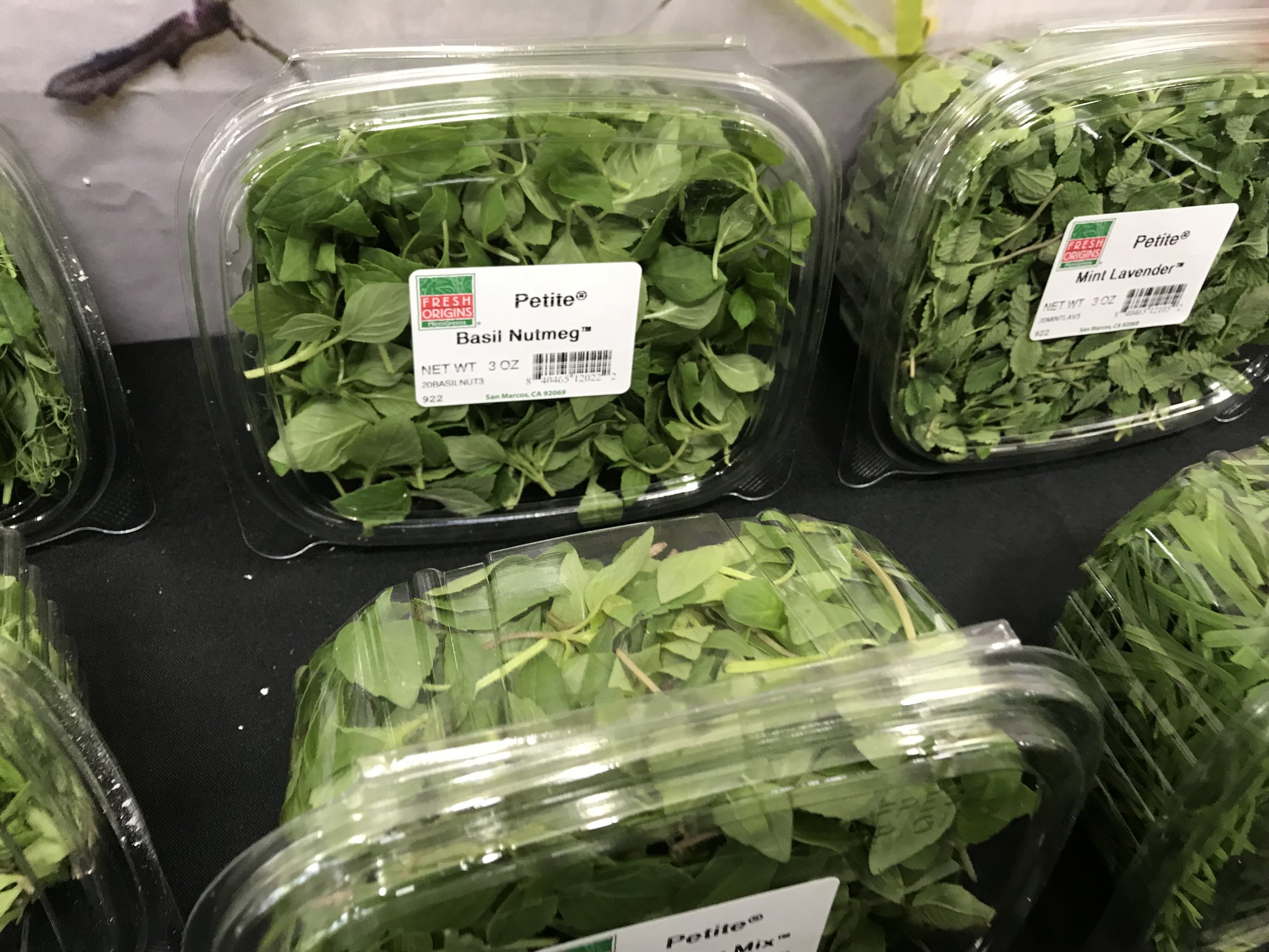 mint_or mint family plant in grocery store IMG_0485.jpeg