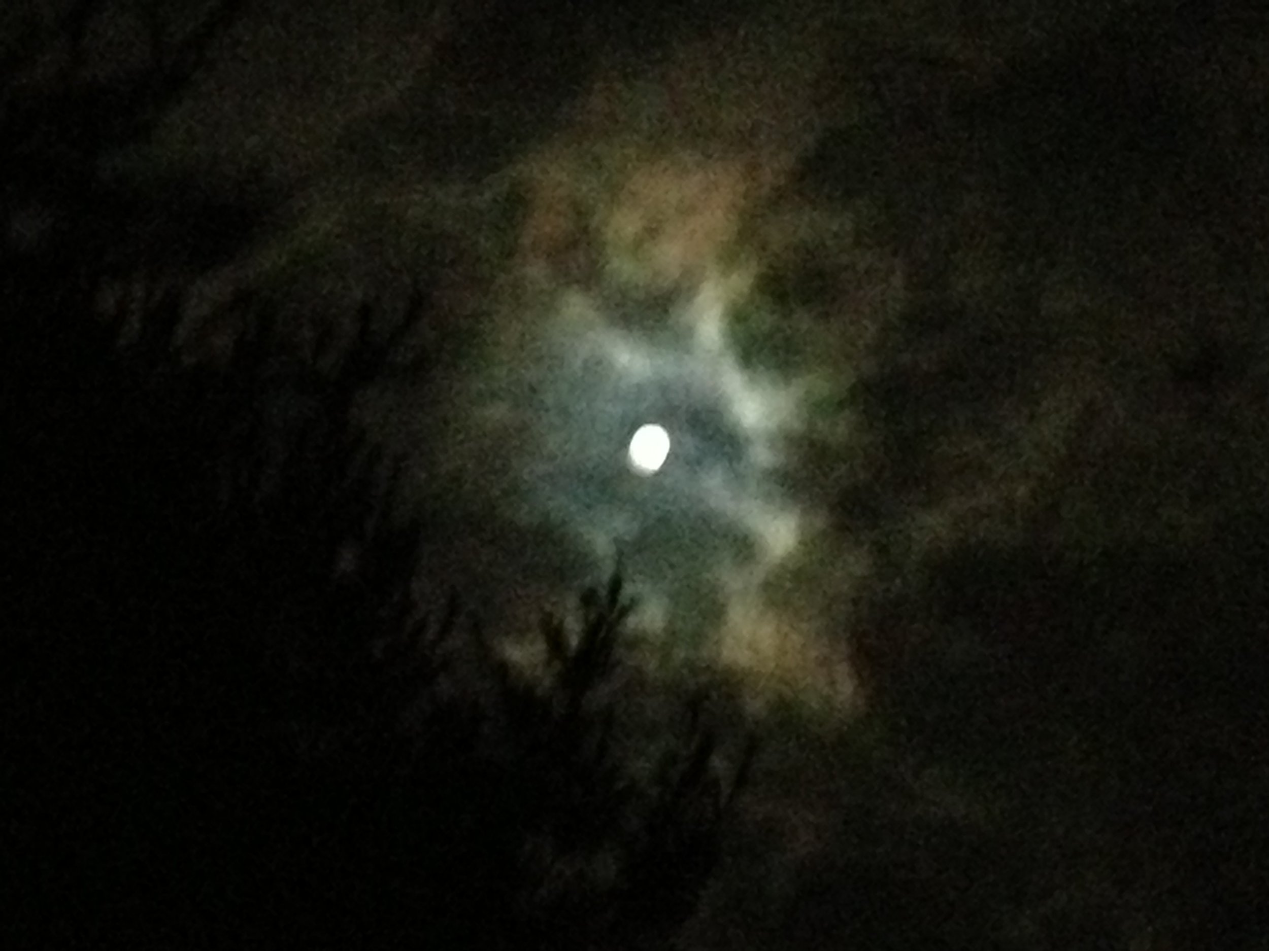 MOON_ full in Bklyn IMG_1049 2.JPG